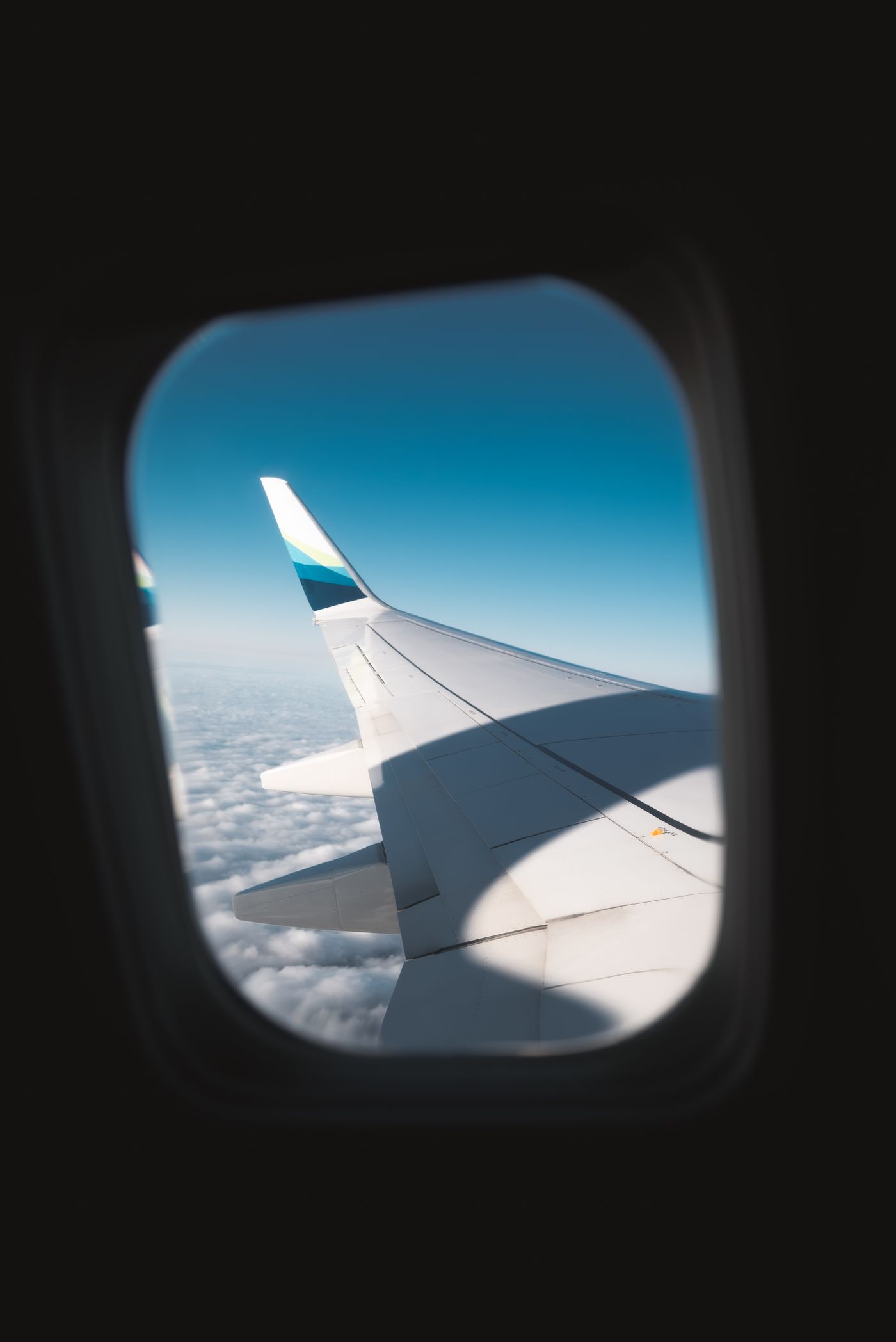 Asa de avião vista da janela sobre as nuvens — a chegada ao Brasil com o pet depende de um certificado emitido no país de origem e de três prazos contados em dias.