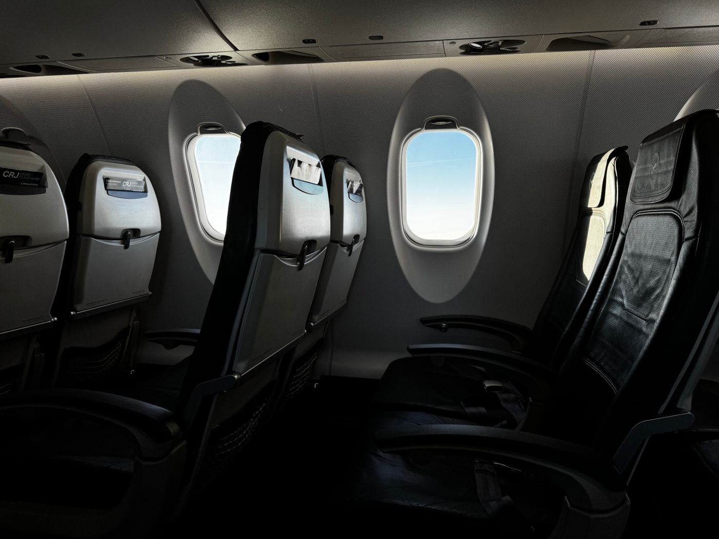 Interior da cabine de um avião com janelas iluminadas — é aqui que cães de pequeno porte viajam quando a companhia permite.