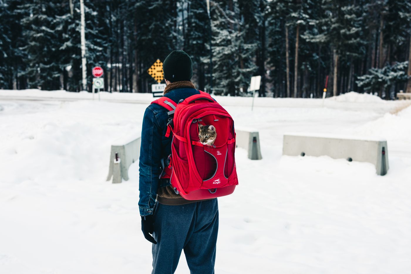 Viajante caminha na neve entre montanhas com gato em mochila de transporte — viagem internacional com pet em clima andino.